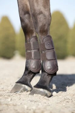 LeMieux Capella Tendon Boots -Just Horse Rider 065fd3ed 7b97 4ab3 91b1 a34d3a757620 3e6e8965 2626 4be5 83ca 1ead17335aa6