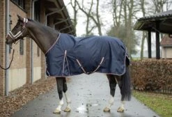 HKM Turnout Rug Kombi -Just Horse Rider 09ee6a58 88ad 4c10 902a 9bf9914443fe