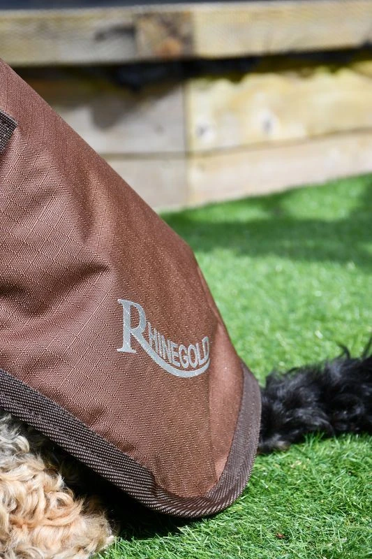 Rhinegold Waterproof Dog Coat 6 Rhinegold Waterproof Dog Coat - Image 4