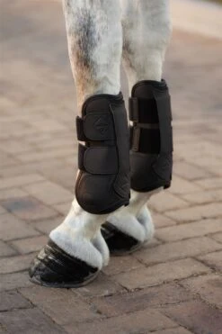 LeMieux Capella Tendon Boots -Just Horse Rider 14d6065b 6d1c 4a68 983a ef83c6f9bc75 d031df60 849e 46af b8b2 70aa7c4b3a7b