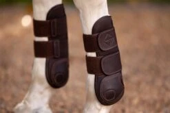 LeMieux Capella Tendon Boots -Just Horse Rider 17d1dbf4 c851 49eb a5c2 5d9ec8f5243a