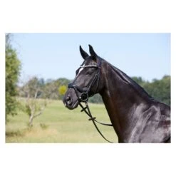 Kieffer Viola Snaffle Bridle -Just Horse Rider 2b705ce9 7d67 48f0 bf3c 124726426a01