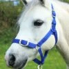 Gallop Equestrian Headcollar & Leadrope Set -Just Horse Rider 2d39fbc8 2afc 4233 8732 687ed3e783ec