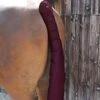 Premier Equine Padded Horse Tail Guard With Tail Bag 1 Premier Equine Padded Horse Tail Guard With Tail Bag -Just Horse Rider 399b2482 929f 40d6 8952 49b3a0312804 de0c4f37 7ff4 43ed 964a 71f8ad67962d