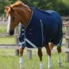Premier Equine Buster Zero Original Turnout Rug -Just Horse Rider 3e8fd79e 2629 4de6 b452 5252b0d3afff 55ad4f9c 0764 4a7c b439 484985c5f07a