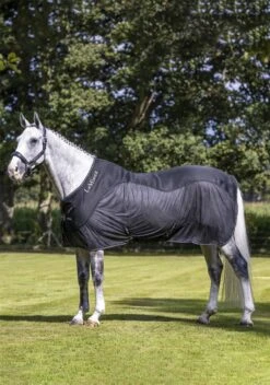 LeMieux Kudos Mesh Sports Cooler Rug -Just Horse Rider 40b856f4 a2c4 43e3 b22d 1294e56e48c5 75829374 3b65 48d8 8d50 0e286a3681e9