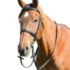 Kincade Classic Plain Raised Cavesson Bridle With Reins -Just Horse Rider 425f046a e9e3 4530 9c41 4f1f24eabb9d ada7f45b 15b2 4300 8a65 fe20b3277bbc