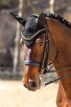 LeMieux Vogue Fly Hood -Just Horse Rider 4f62f992 8673 41fb 8546 f3259f1b5998 58a6e68b cfd5 4ea9 b44e a3c30fade1b8