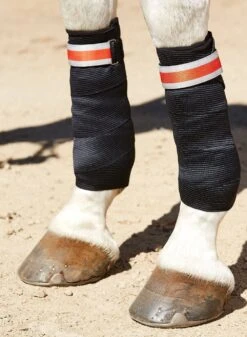 Weatherbeeta Therapy-Tec Support Bandages