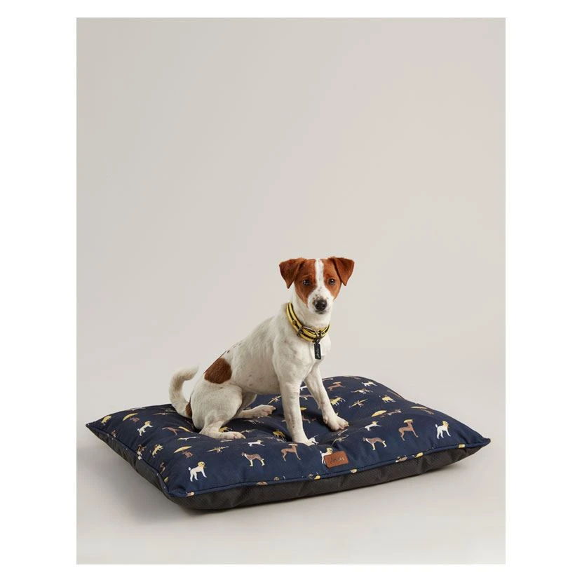 Lincoln Cyder Vinegar 4 Lincoln Cyder Vinegar - Image 2