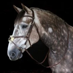 John Whitaker Vienna Mexican Bridle