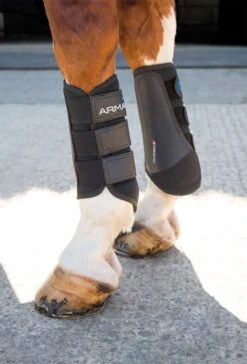 Shires Arma Brushing Boots -Just Horse Rider 5a6c6c1e 17f8 4416 b689 4ace92797a7e c102d779 4508 4372 968b faab9b41b14a