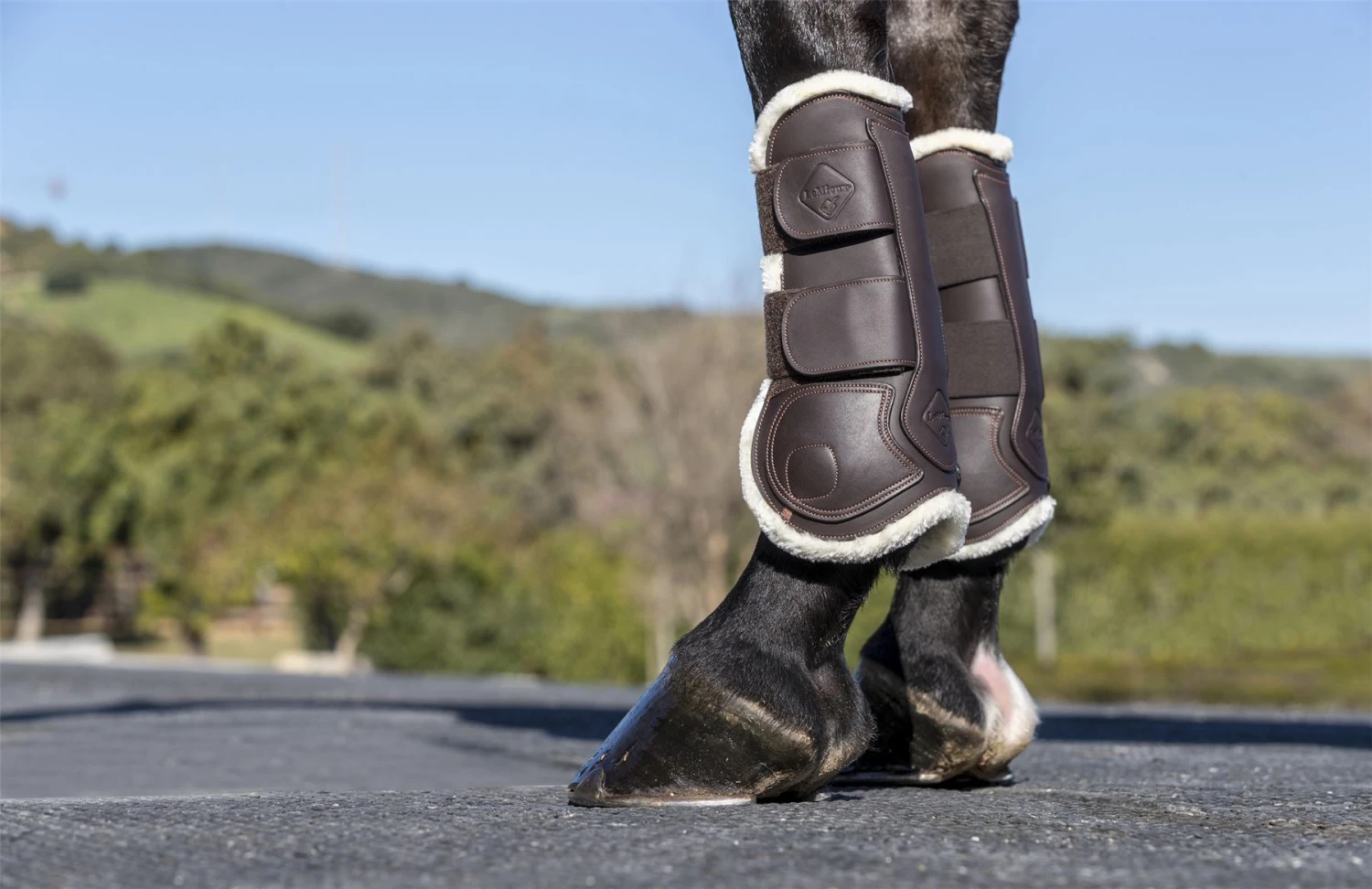LeMieux Capella Comfort Tendon Boots 14 LeMieux Capella Comfort Tendon Boots - Image 12