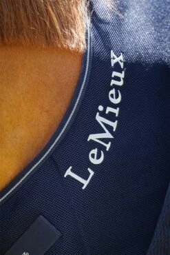 LeMieux Kudos Mesh Sports Cooler Rug -Just Horse Rider 639e354c d8f5 494d ac5d 8b68f077e1a4 7acdd585 a422 4255 a4b4 562633db09a1