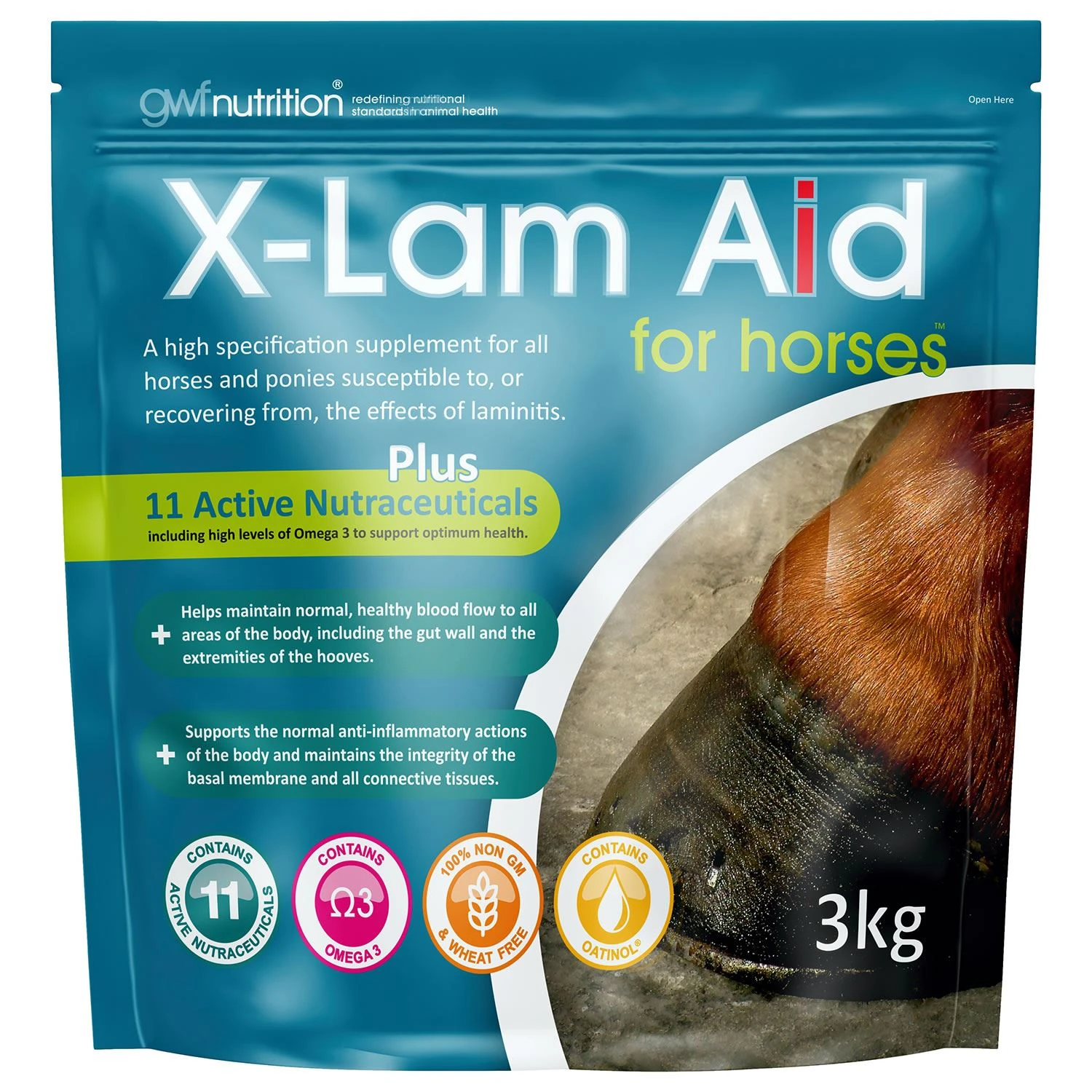 Gwf X-Lam Aid Pellets For Horses 3 Gwf X-Lam Aid Pellets For Horses