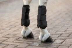 LeMieux Capella Tendon Boots -Just Horse Rider 6954d35b a929 4715 8387 2e70ff0af34d
