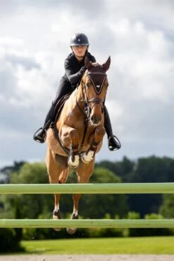 LeMieux Puissance Fly Hood 12 LeMieux Puissance Fly Hood -Just Horse Rider 6bb86f66 fe14 4c06 9adf db9ac63b2e9b f92a3b64 0959 4075 823a 251ca56ee64d