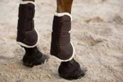LeMieux Capella Comfort Tendon Boots 21 LeMieux Capella Comfort Tendon Boots -Just Horse Rider 71dbca57 698f 4278 a74a 71e6cac81403 7369aa39 770b 4ad6 9e4a 943c111d4028