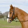 Windsor. Windsor Anatomical Flash Bridle -Just Horse Rider 7311fb95 9c9c 4461 9eb6 982c0771252b afd8e086 adb7 4360 94a7 7a2054f4b902