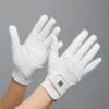 Premier Equine Mizar Ladies Leather Competition Riding Gloves -Just Horse Rider 7eef16e2 fdf7 478a 8b59 dff52bca4e1e d3fa9484 1fe9 4c63 8d13 f8823e3ca9f6