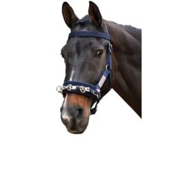 Whitaker Lunge Cavesson 7 Whitaker Lunge Cavesson -Just Horse Rider 80d82325 1ea1 412c bf88 e829299599e2