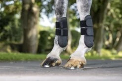LeMieux Capella Tendon Boots -Just Horse Rider 8639b0f3 653c 4c3a 9931 cbab6cc94292 ad27365f d235 46c9 80ea d6885b85b4f1