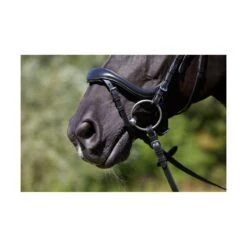 Kieffer Viola Snaffle Bridle -Just Horse Rider 89497114 574f 4503 a9a7 99d60150485e