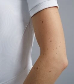 Premier Equine Bellisa Ladies Show Shirt -Just Horse Rider 8b1f5b60 bb08 4daf b39b bc1cc5c4c6e8 b7e8d0c3 947b 4ab9 9006 b0004fd3151b