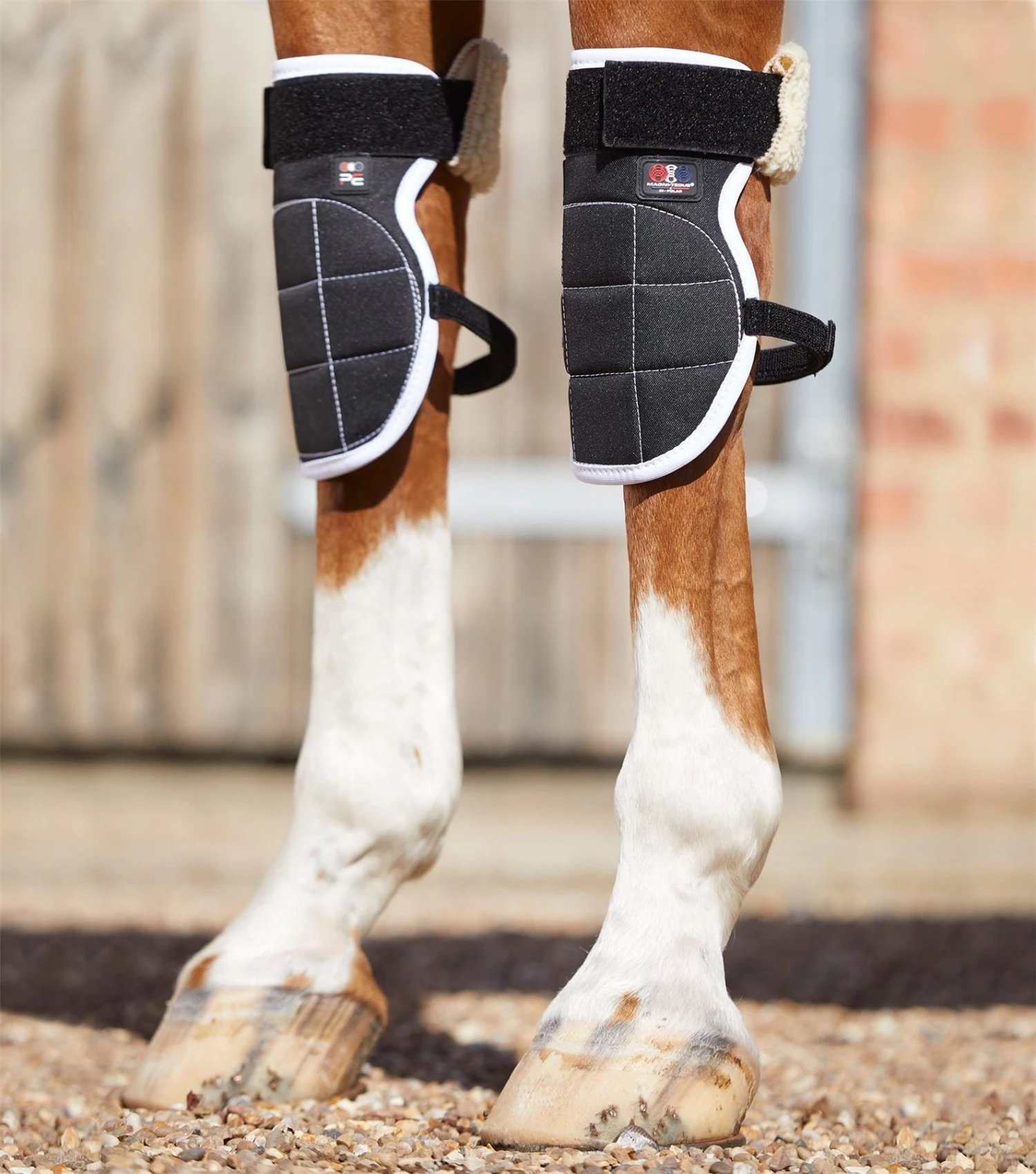 Premier Equine Magni-Teque Magnetic Horse Knee Boots 3 Premier Equine Magni-Teque Magnetic Horse Knee Boots