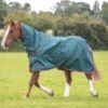 Shires Typhoon Lite Combo Turnout Rug -Just Horse Rider 8ee84432 9887 4822 8bf0 4ccee77d408b