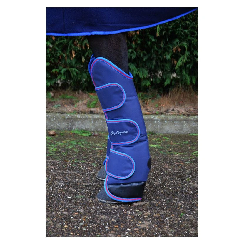 HyFASHION Mizs Beatrice Silicone Breeches 6 HyFASHION Mizs Beatrice Silicone Breeches - Image 4