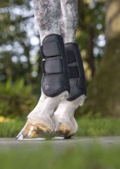 LeMieux Capella Tendon Boots -Just Horse Rider 9bec7192 d313 497d 9b8f 2e266a9dace6