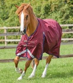 Premier Equine Buster Zero Original Turnout Rug -Just Horse Rider a3460a6c 41da 4f1d 8084 9d67b00a0a84 21180386 97a0 4eb3 a30c fc59382ff3d9