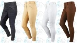 Dublin Supa Shape It Performance Full Seat Breeches