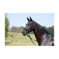 Kieffer Viola Snaffle Bridle -Just Horse Rider b98c3a7b 1c19 4fa0 bd3f b443a924385d