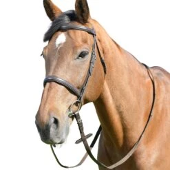 Kincade Classic Plain Raised Cavesson Bridle With Reins 7 Kincade Classic Plain Raised Cavesson Bridle With Reins -Just Horse Rider c6c79872 0ed1 4b6a 8c9f 80308a47689b 9254b3ed d2f3 4b69 bd01 57ba96e53c58