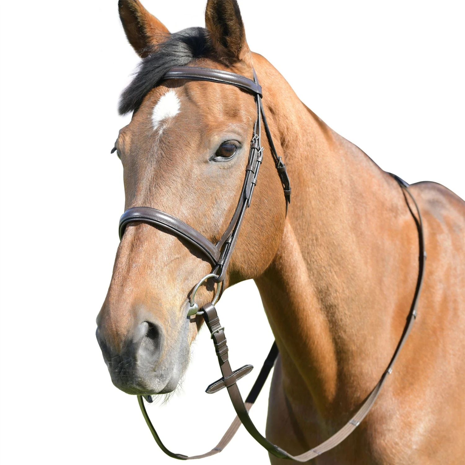 Kincade Classic Plain Raised Cavesson Bridle With Reins 5 Kincade Classic Plain Raised Cavesson Bridle With Reins - Image 3