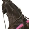 Kincade Anti-Grazing Straps -Just Horse Rider c7c6efc3 562d 4da4 ac98 020b622b8556 db4cb017 c49a 4a2b a6d1 e2597c341c7a