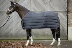 HKM Turnout Rug Kombi -Just Horse Rider e01d39c8 0e19 42cc 97e0 3bcbf0e69d9c