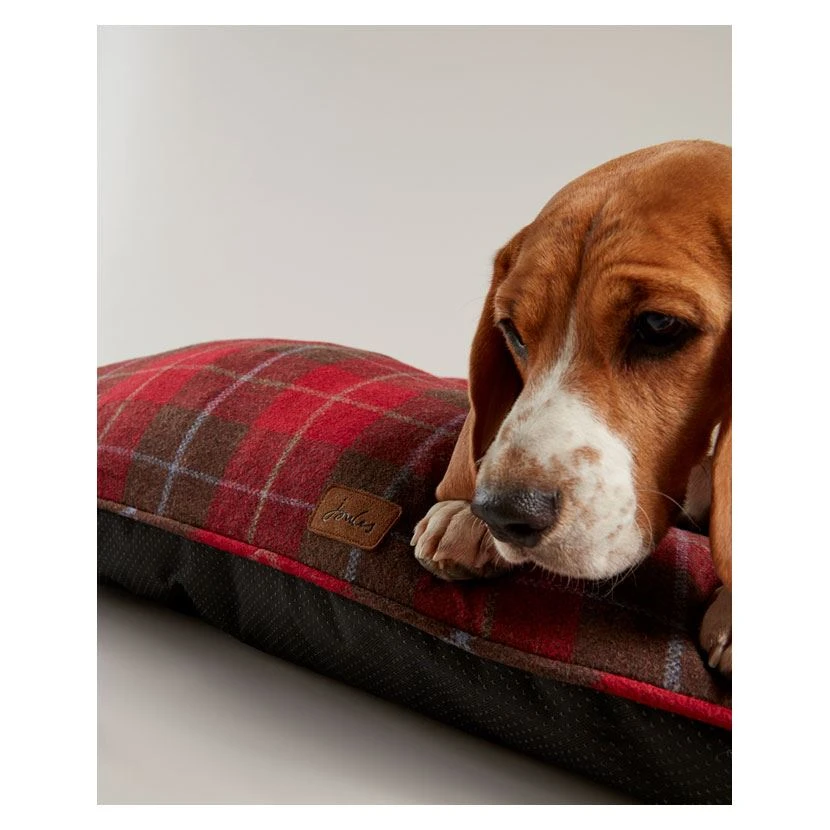 HyFASHION Cottesmore Ladies Breeches 6 HyFASHION Cottesmore Ladies Breeches - Image 4