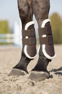LeMieux Capella Comfort Tendon Boots 22 LeMieux Capella Comfort Tendon Boots -Just Horse Rider e822f448 19ad 41ea 9e31 11080f7b44a6 95971cc7 8181 4d08 b650 fe5388d2adf9