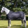 LeMieux Kudos Mesh Sports Cooler Rug -Just Horse Rider e85ee5c6 e1f8 4285 96b3 3d753b3784f0 06b031f1 0fb1 44f7 a723 6b227a22d197
