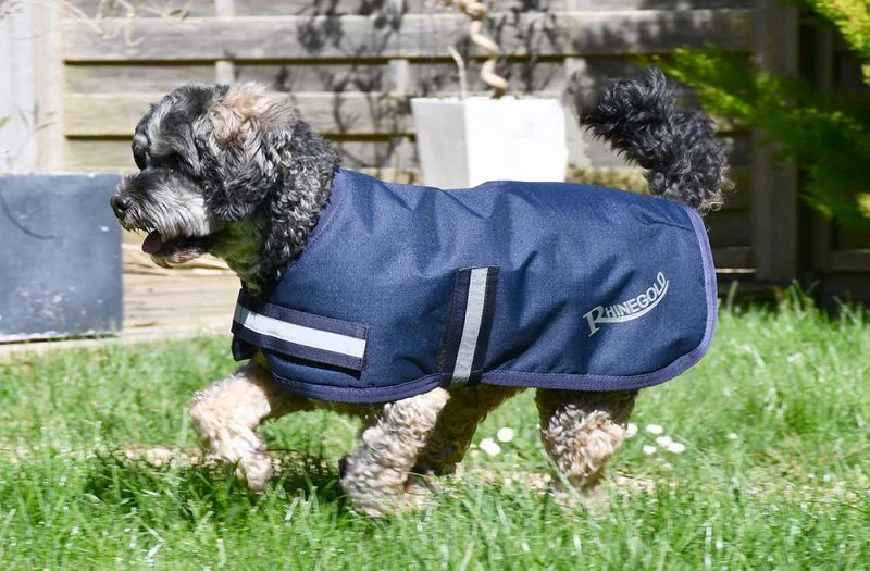 Rhinegold Waterproof Dog Coat 4 Rhinegold Waterproof Dog Coat - Image 2