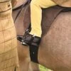 Equetech Childs Jodhpur Clips -Just Horse Rider efdf442a 08bc 456d a85a fbbbecf8be2c