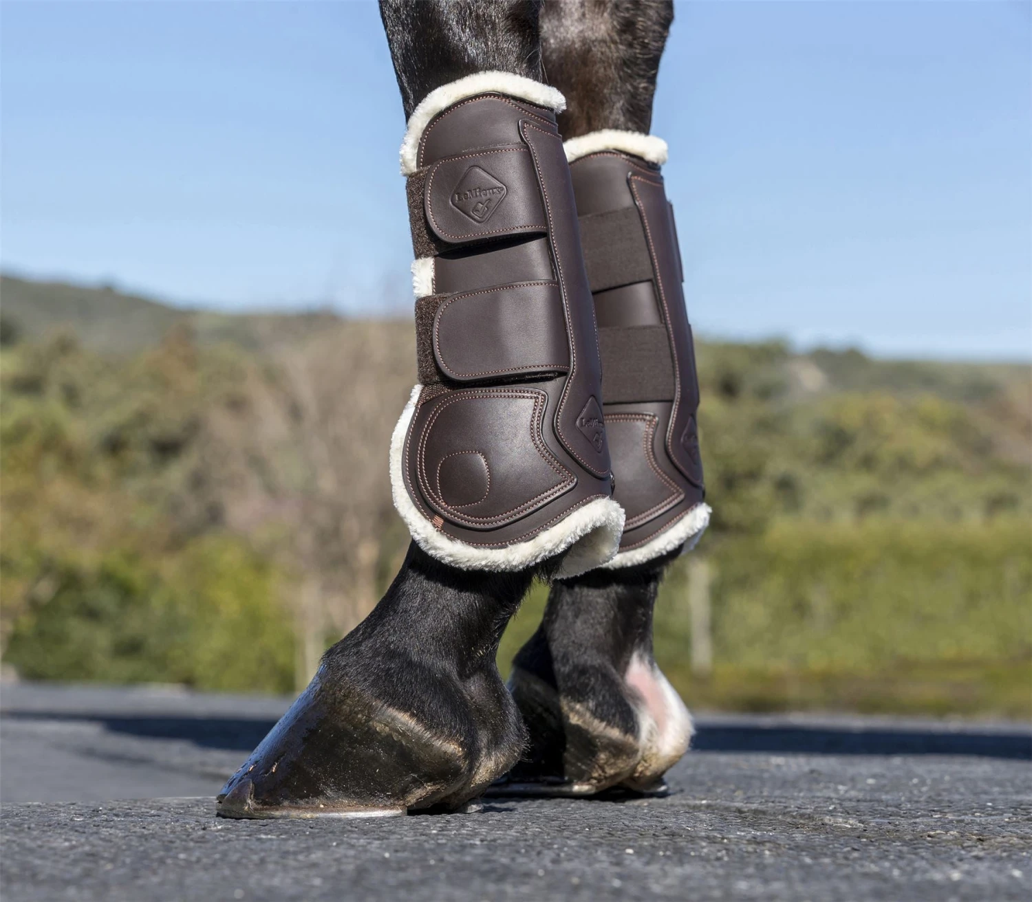 LeMieux Capella Comfort Tendon Boots 12 LeMieux Capella Comfort Tendon Boots - Image 10