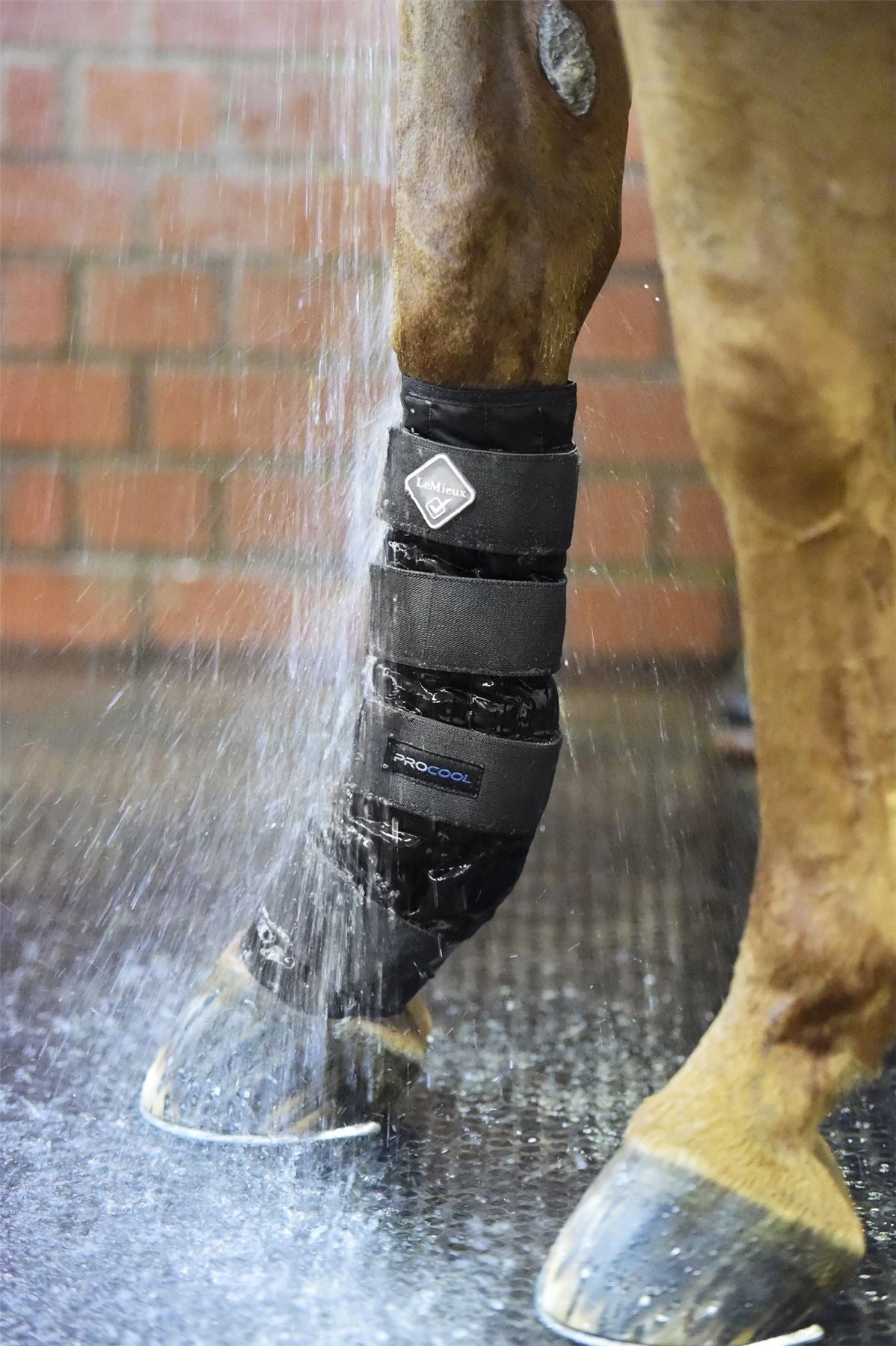 LeMieux Cold Water Boots 4 LeMieux Cold Water Boots - Image 2