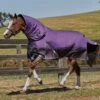 Weatherbeeta Comfitec Plus Dynamic Detach-A-Neck Lite -Just Horse Rider fb4379bf be96 4228 8692 3f1c25ab5ae4
