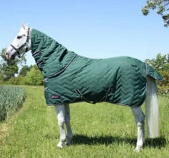 DefenceX System 100 Stable Rug With Detachable Neck Cover -Just Horse Rider fecab5a1 7f0d 41c5 936e 633d561c0665